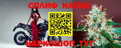 спиды Краснознаменск