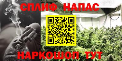 спиды Краснознаменск
