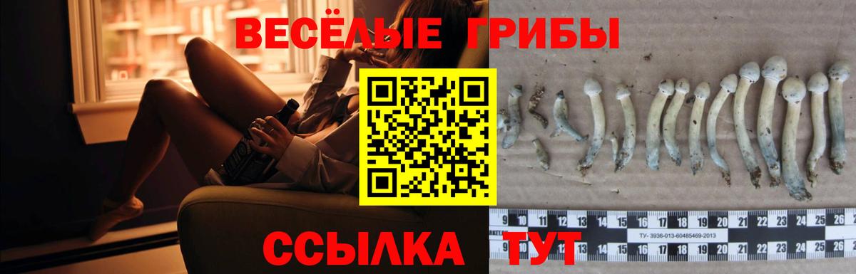Галлюциногенные грибы мицелий  Вход с VPN  Клинцы 